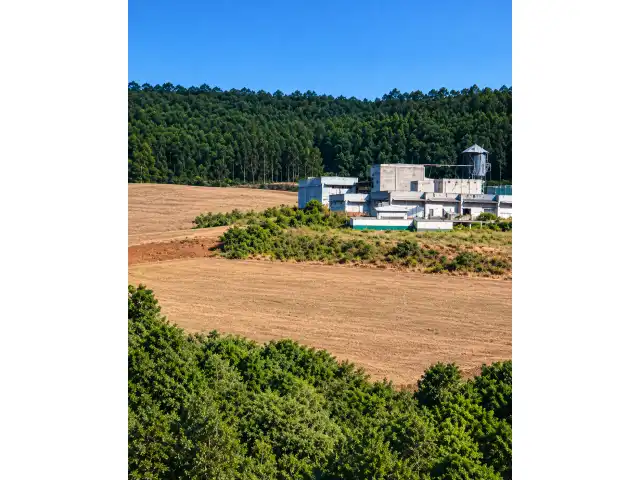 UMA FRAÇÃO DE TERRAS, OU SEJA, O MÓDULO 22, COM ÁREA SUPERFICIAL DE 20,160m²,  Palmeira das Mssões-RS