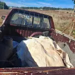 LOTE 001 - VW SAVEIRO CL, 1991/1991, VERMELHO, PLACA BGY 3712