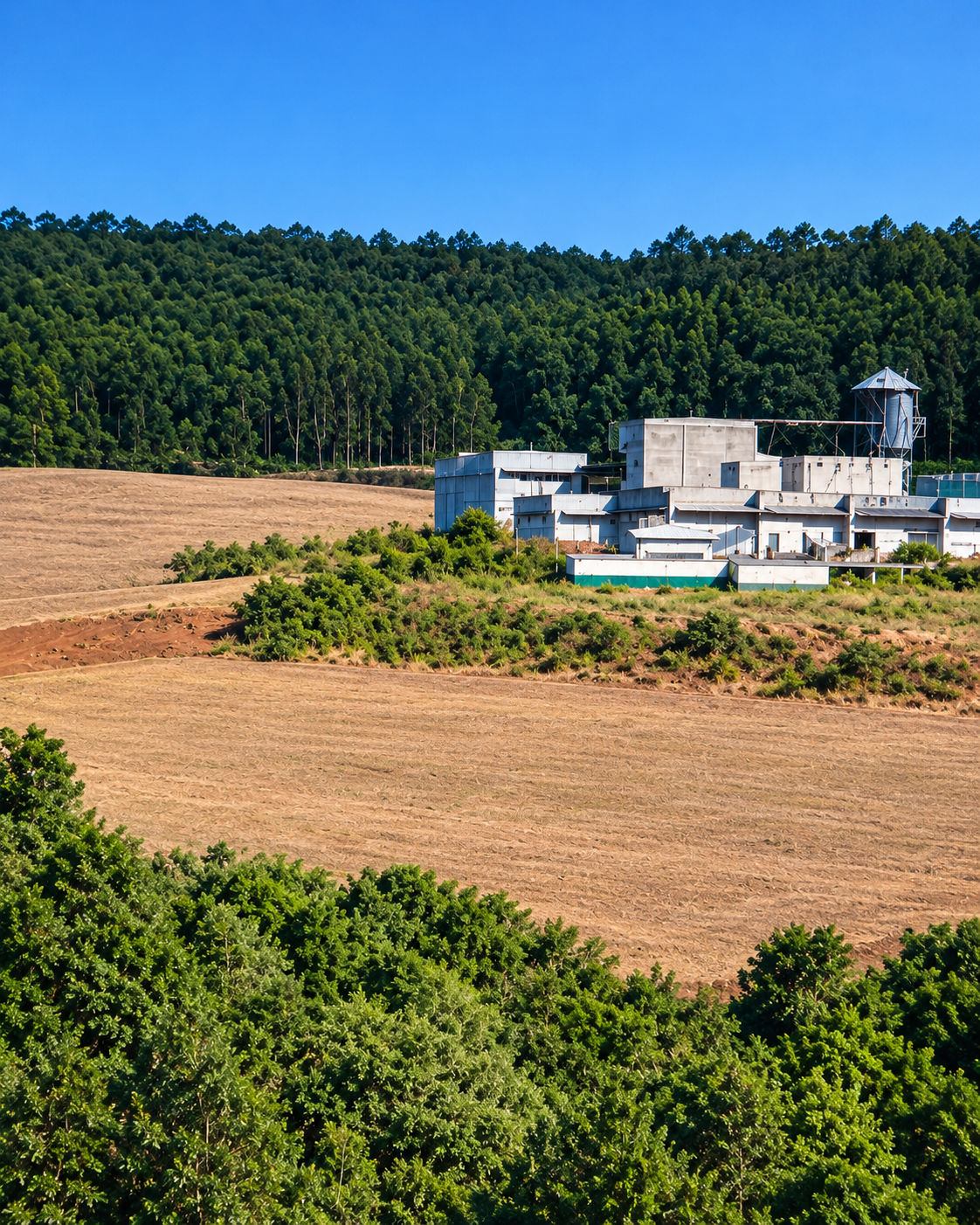 UMA FRAÇÃO DE TERRAS, OU SEJA, O MÓDULO 22, COM ÁREA SUPERFICIAL DE 20,160m²,  Palmeira das Mssões-RS